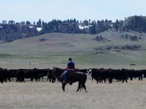 south-dakota-family-owned-hunting.jpg