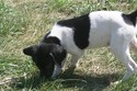 Black and White Female