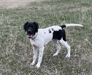 Black and White Female