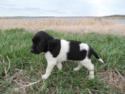 Black and White Male