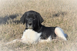 Black and White Male
