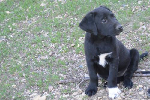 Black Female With White Toe