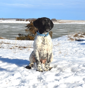 Black and White Male