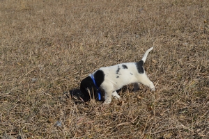 Black And White Male