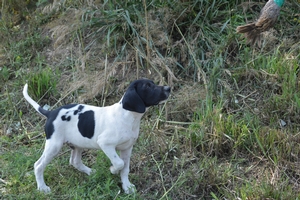 Black and White Male