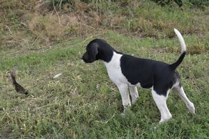 Black and White Female