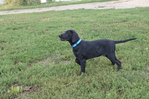 Black Male