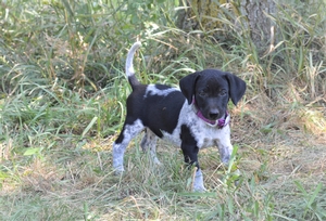 Black and White Female