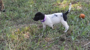 Black and White Female