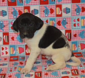 Black and White Male