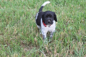 Black and White Male