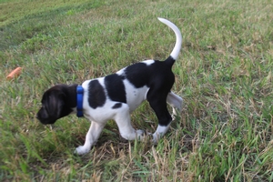 Black and White Male