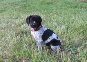 Black and White Female