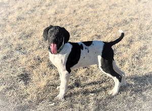 Black and White Male