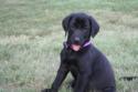 Black male with white dot