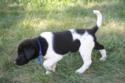 Black and White Male