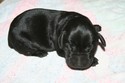 Black Male #2 with white line on chest