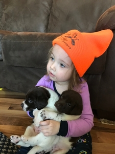 Buddy/Sadie