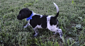 Black and White Male