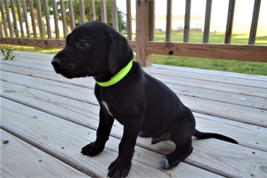 Black Male W WHite