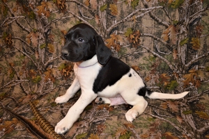 Black and White Male