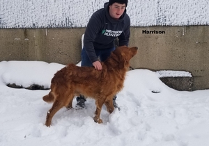 Harrison%2021.jpg