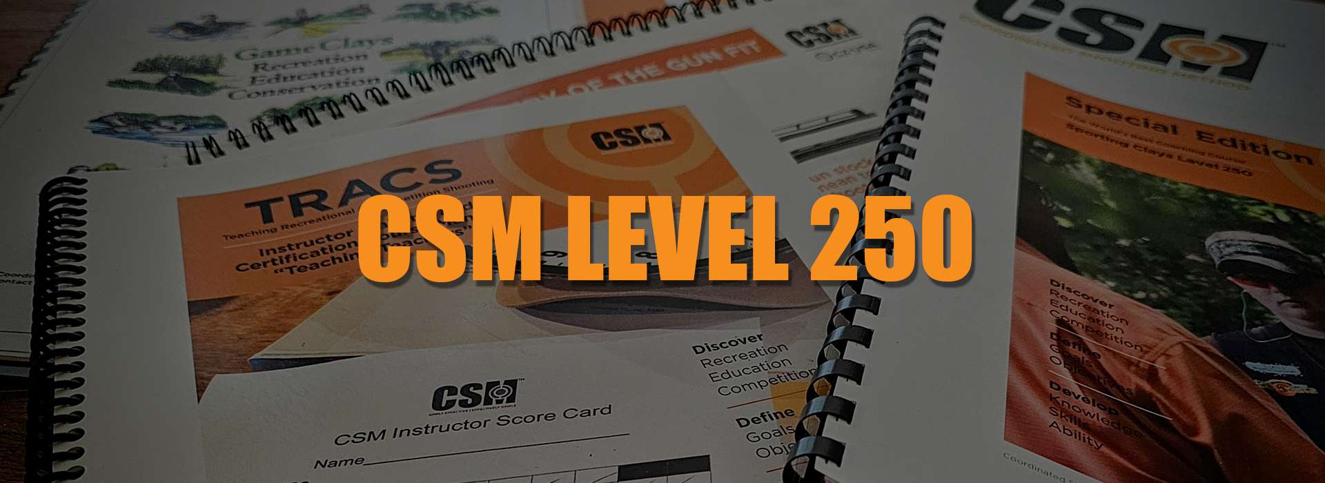 CSM Level 250