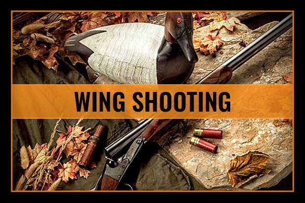 Wing Shooting with Coordinated Shooting Method 