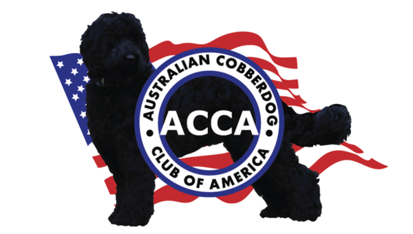 Australian Cobberdog Club of America