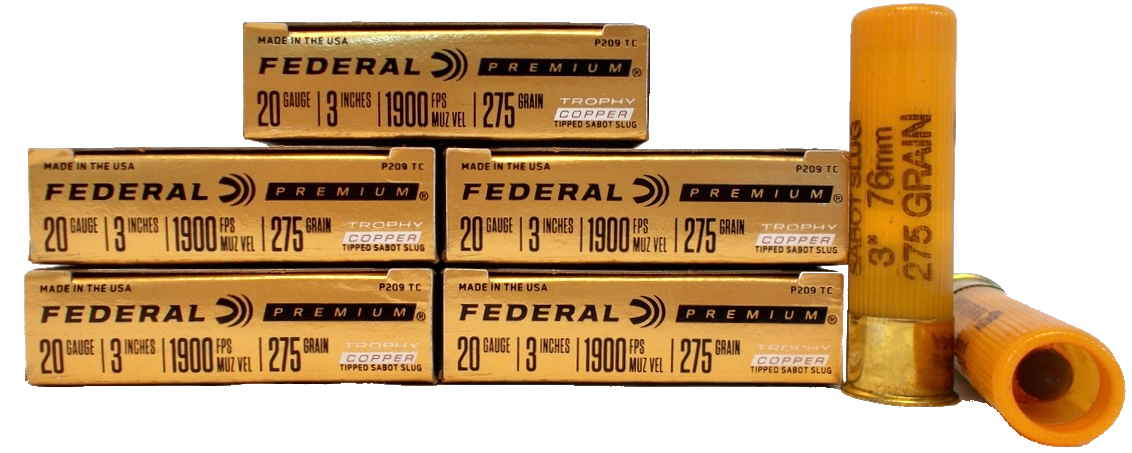 Buying Ammo Online
