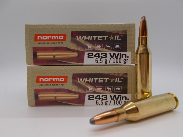 Norma 243 win 100gr SP