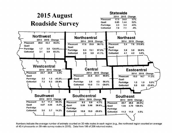 Iowa's Pheasant Population Jumps 37 Percent; Quail Highest Count in 21 Year