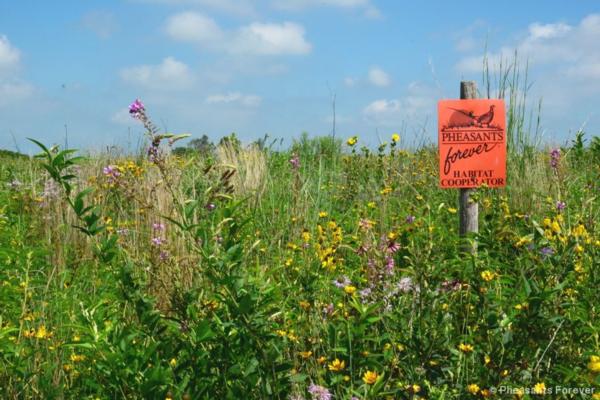 Linn County Pheasants Forever Habitat Resource