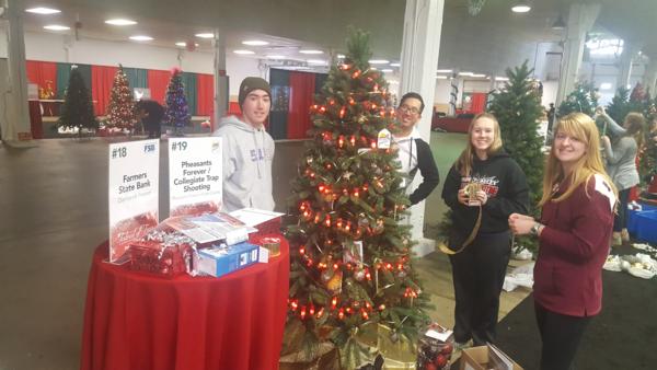 LinnCoPF Tree Display at 2018 Cedar Rapids Festival of Trees