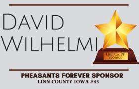  David Wilhelmi