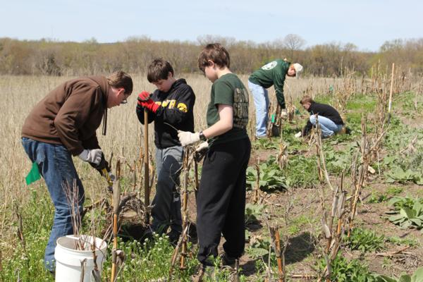 Linn County PF and Hawkeye Area Boy Scouts Project - 2014