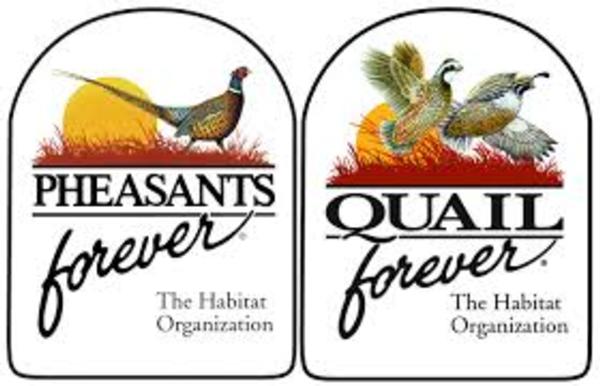 Iowa Pheasants Forever & Quail Forever Convention