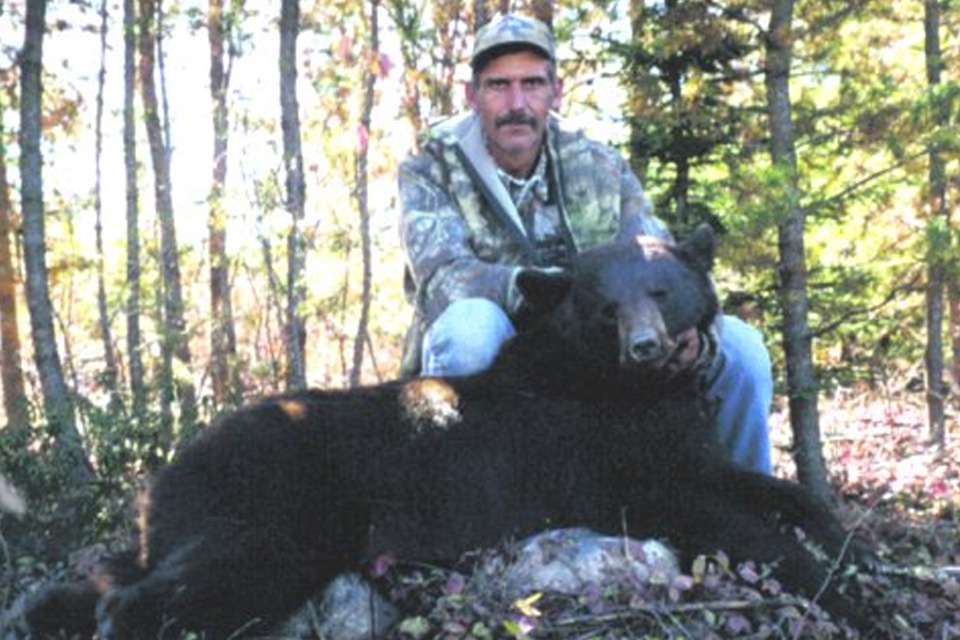 Ontario Black Bear