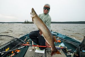 Mav%20Muskie%202.jpg