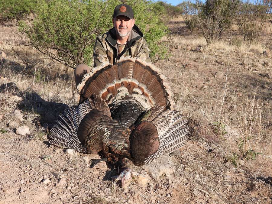 Mexico Turkey Hunting