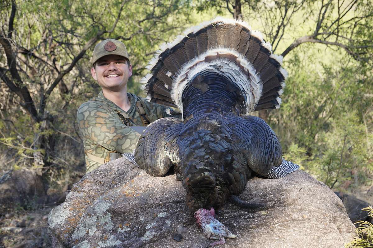 Mexico Goulds Turkey Hunt