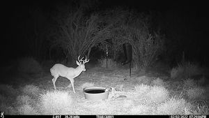 IMG_00048.JPG
