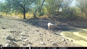 IMG_000614.JPG