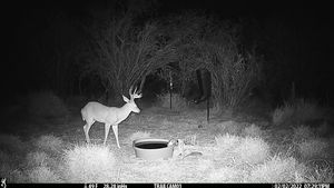 IMG_00067.JPG