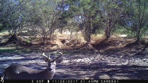 IMG_000725.JPG