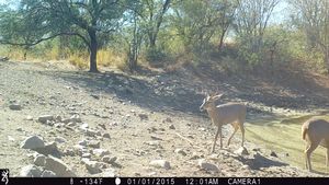 IMG_001912.JPG