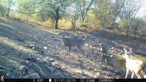 IMG_005410.JPG