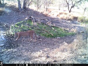 IMG_00677.JPG