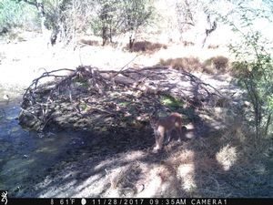IMG_00827.JPG