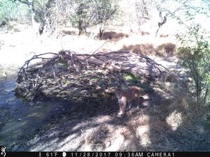 IMG_00836.JPG